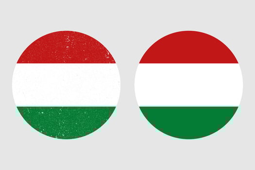 The national flag of Hungary. Hungary round flag icon. An illustration of the Hungary round flag. vector