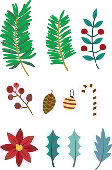 Christmas ornament illustration set, Poinsettia, pine, berry branches, holly berries vector