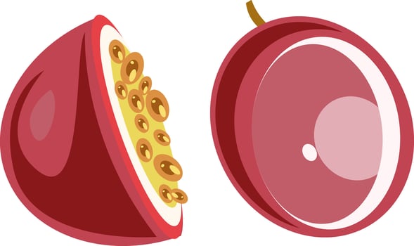 Illustration of Passion Fruit Whole and Cut vector