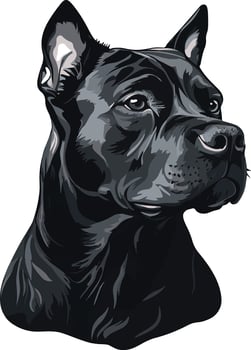 sweet cute simple American Pit Bull Terrier clipart vector