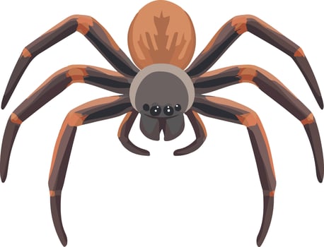 cute simple spider clipart vector