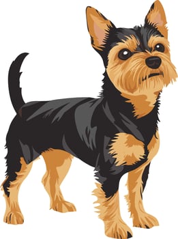 adorable cute simple Australian Terrier clipart vector