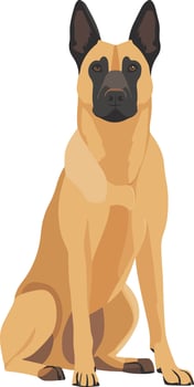 cute simple Belgian Malinois clipart vector