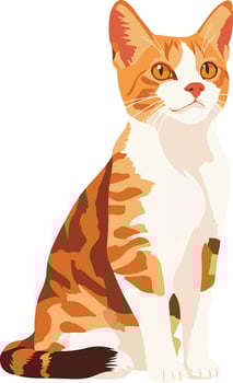 cute simple European Shorthair clipart vector