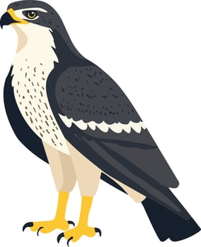 cute simple hawk clipart vector