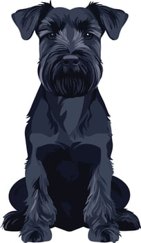 cute simple Kerry Blue Terrier clipart vector