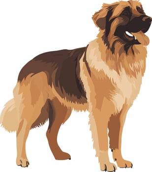 cute simple Leonberger clipart vector