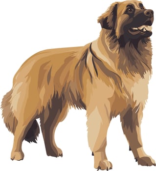 sweet cute simple Leonberger clipart vector