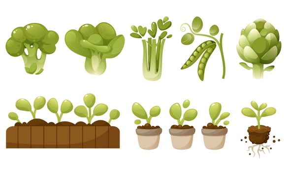 Green Vegetables and Salads Set, Fresh Leafy Vegetables, Broccoli, Cauliflower, Artichoke, Green Peas, Celery, Micro Greens. Healthy Organic Food, Vegetarianism, Green Gardener's Harvest, Greens. vector