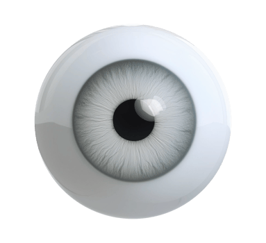 An eye is shown in a white sphere on transparent background png