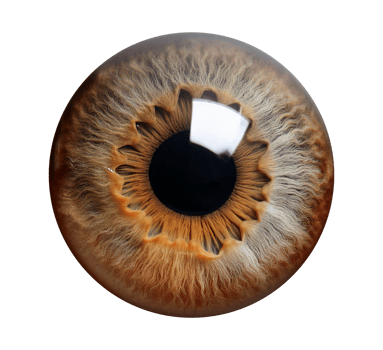 an image of a human eye isolated on transparent background png