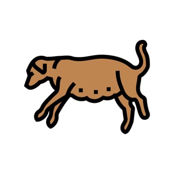 pregnant dog color icon illustration vector