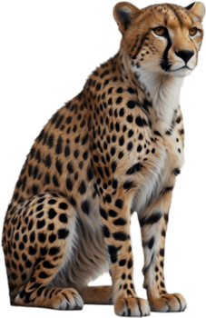 Graceful Cheetah Clipart for Environmental Awareness Projects. . png