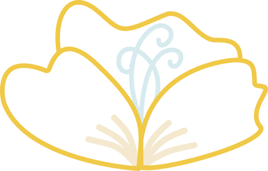 White lotus flower png