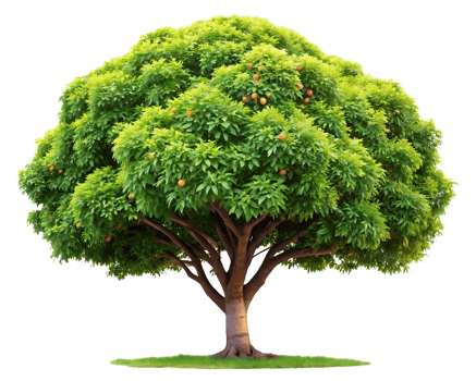 A large tree with green leaves on it png
