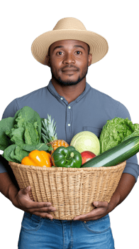 Farmer holding a basket of fresh vegetables, isolated on transparent background png