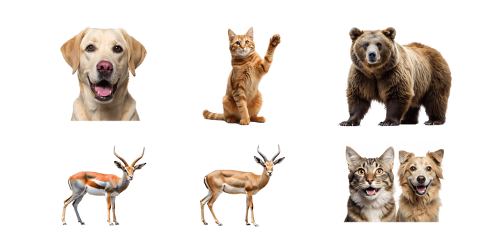 Domesticated and wild animals on white png
