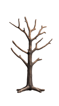 Leafless tree with branching structure isolated on a transparent background, symbolizing winter or autumn themes. png