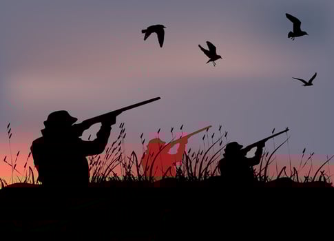 Hunting silhouette with two men and birds vector