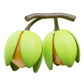 3D Gooseberry Icon Illustration Render png