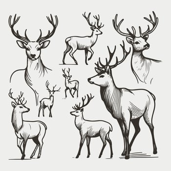 Stylized Deer- A Minimalist Collection of Poses vector