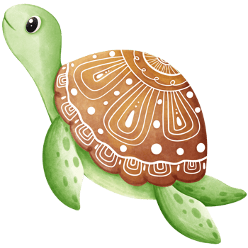 Little sea turtle png