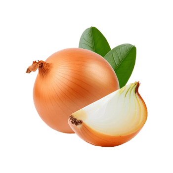 Onion with slices and leaf on transparent background png