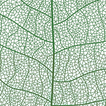 Close-up green leaf texture with intricate details of leaf veins showcasing natures botanical textures and patterns vector