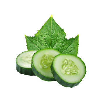 Fresh Cucumber slices on transparent background png