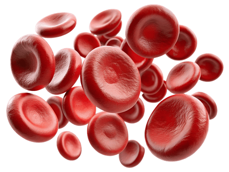 Red blood cells in motion within the bloodstream png