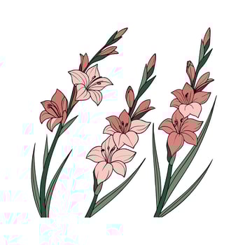 Creative pink flowers on a white background vector