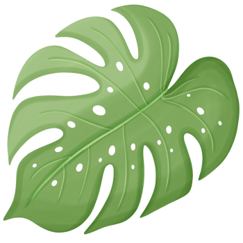 single monstera leaf png