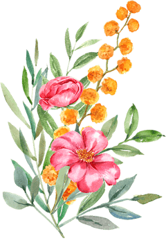 Handdrawn Spring flower watercolor png