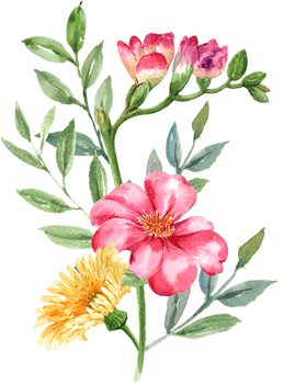Handdrawn Spring flower watercolor png