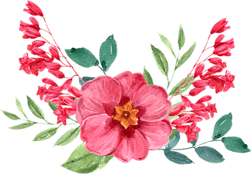 Handdrawn Spring flower watercolor png
