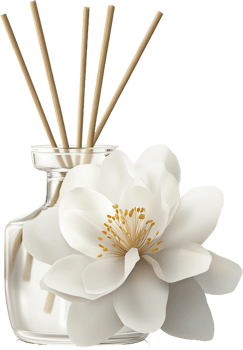 Reed diffuser in glass vase png