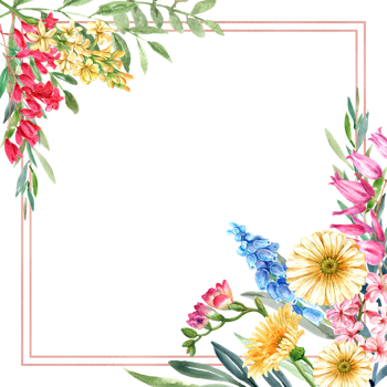 Handdrawn of frame flower watercolor png