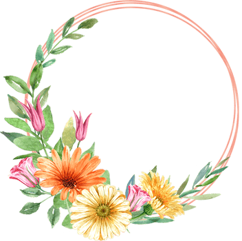 Handdrawn of frame flower watercolor png