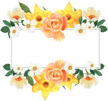 Handdrawn flower watercolor png
