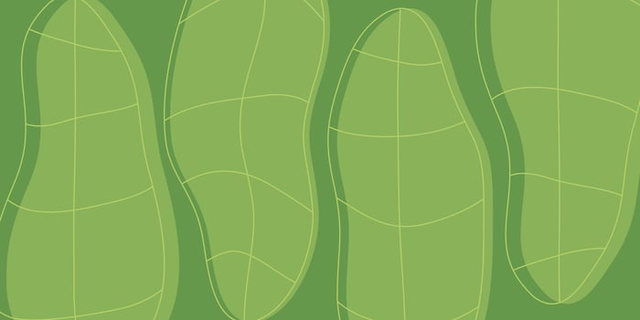 green background with leaf pattern. design for banner, poster, social media vector