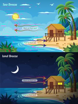Land and Sea Breeze Understanding Coastal Wind Patterns and Temperature Differences vector