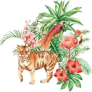 Tropical bouquet watercolor decoration png