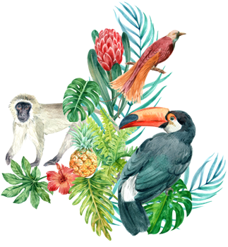 Tropical bouquet watercolor decoration png