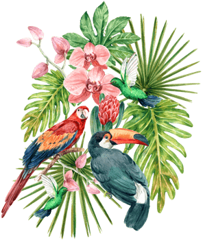 Tropical bouquet watercolor decoration png