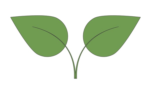 Two leaves connected by stem 2D cartoon object. Eco-friendly environmental conservation nature sustainability. Natural leafs isolated element flat clipart on white background. Spot illustration vector