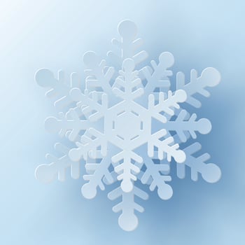 3D christimas white snowflake in paper cut style vector