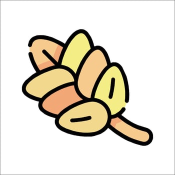 A wheat plant icon on a white background vector