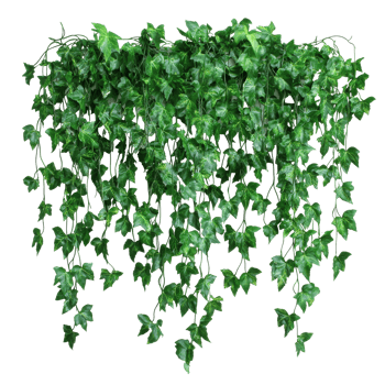 Ivy garland enhances any home decor png