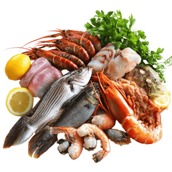 Seafood mix with herbs and citrus png