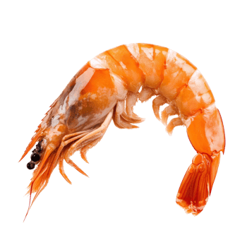 Fresh shrimp ready for cooking at a seafood market png